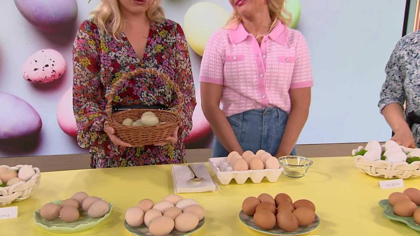 Czym się kierować przy wyborze jajek? – FILM
