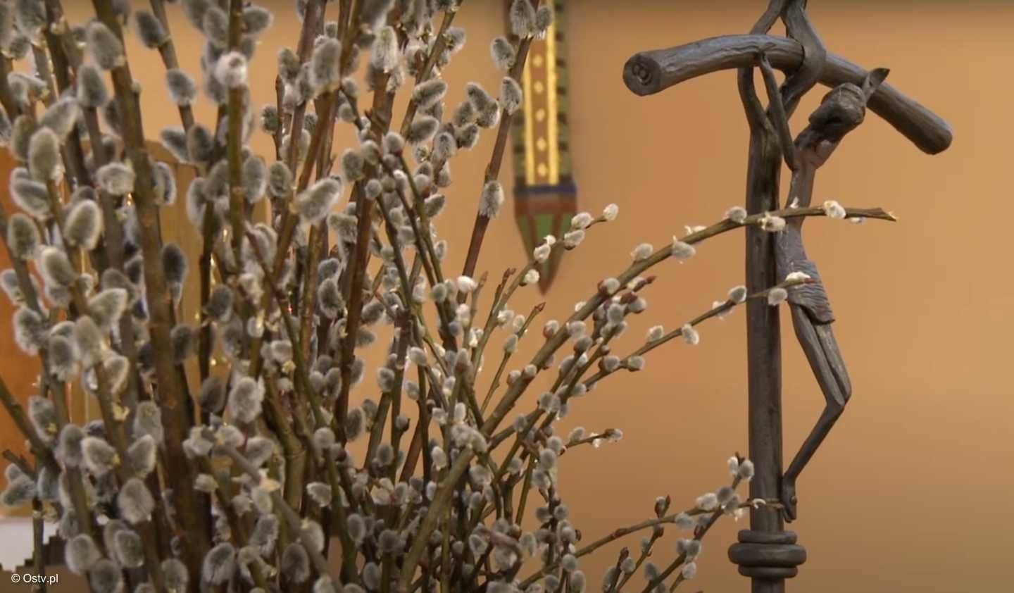 Oświęcimskie Wieści z ratusza – FILM