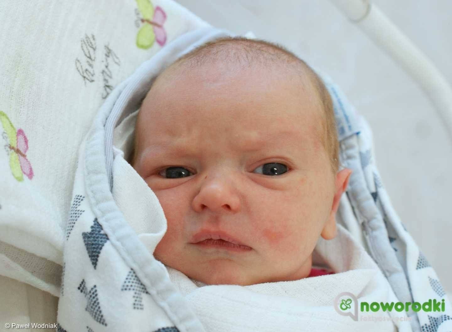 Noworodkowa galeria Faktów Oświęcim – FOTO