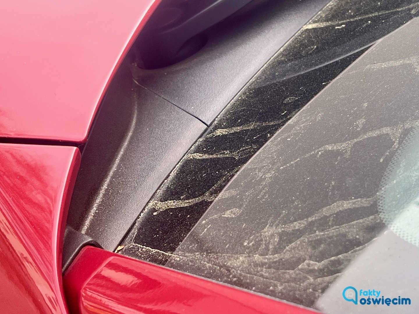 Pył znad Sahary znowu w Polsce – FILM