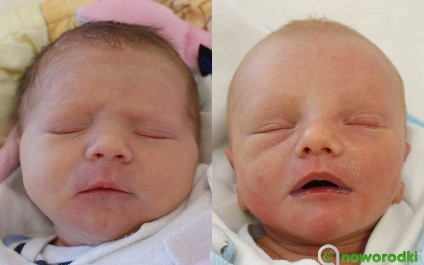 Noworodkowa galeria Faktów Oświęcim – FOTO