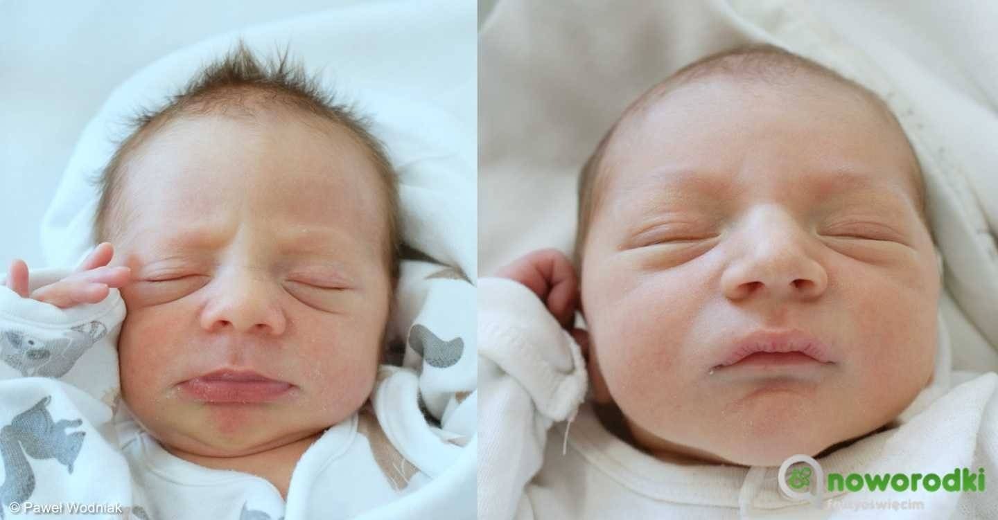 Noworodkowa galeria Faktów Oświęcim – FOTO