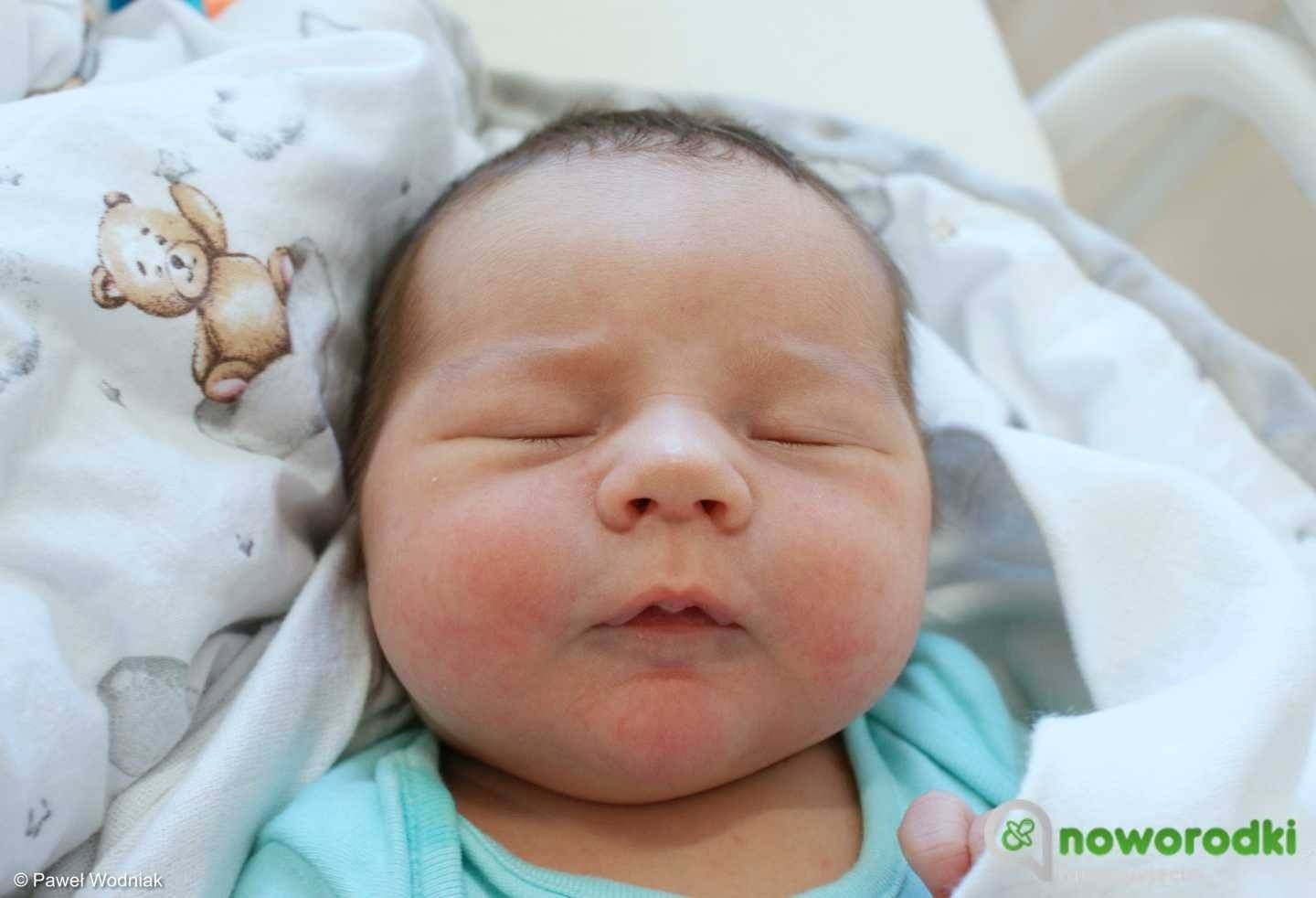 Noworodkowa galeria Faktów Oświęcim – FOTO