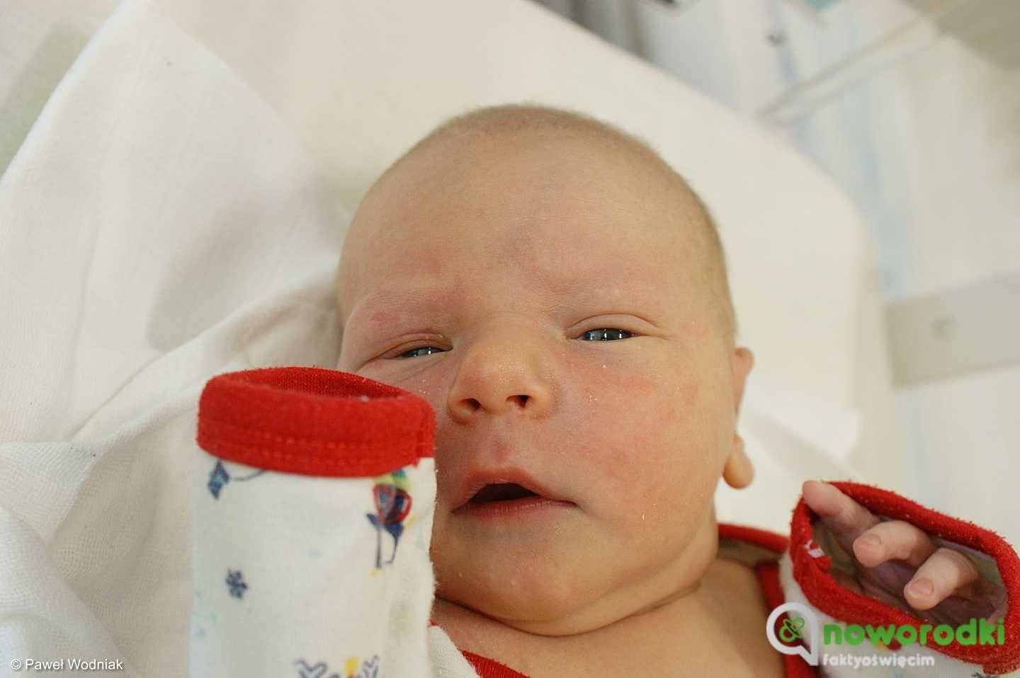 Noworodkowa galeria Faktów Oświęcim – FOTO