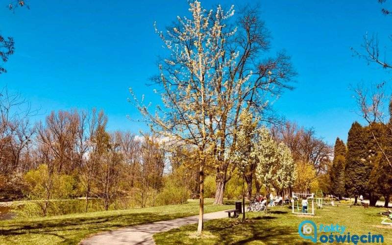 Ostrzeżenia pogodowe: będzie wietrznie i burzowo