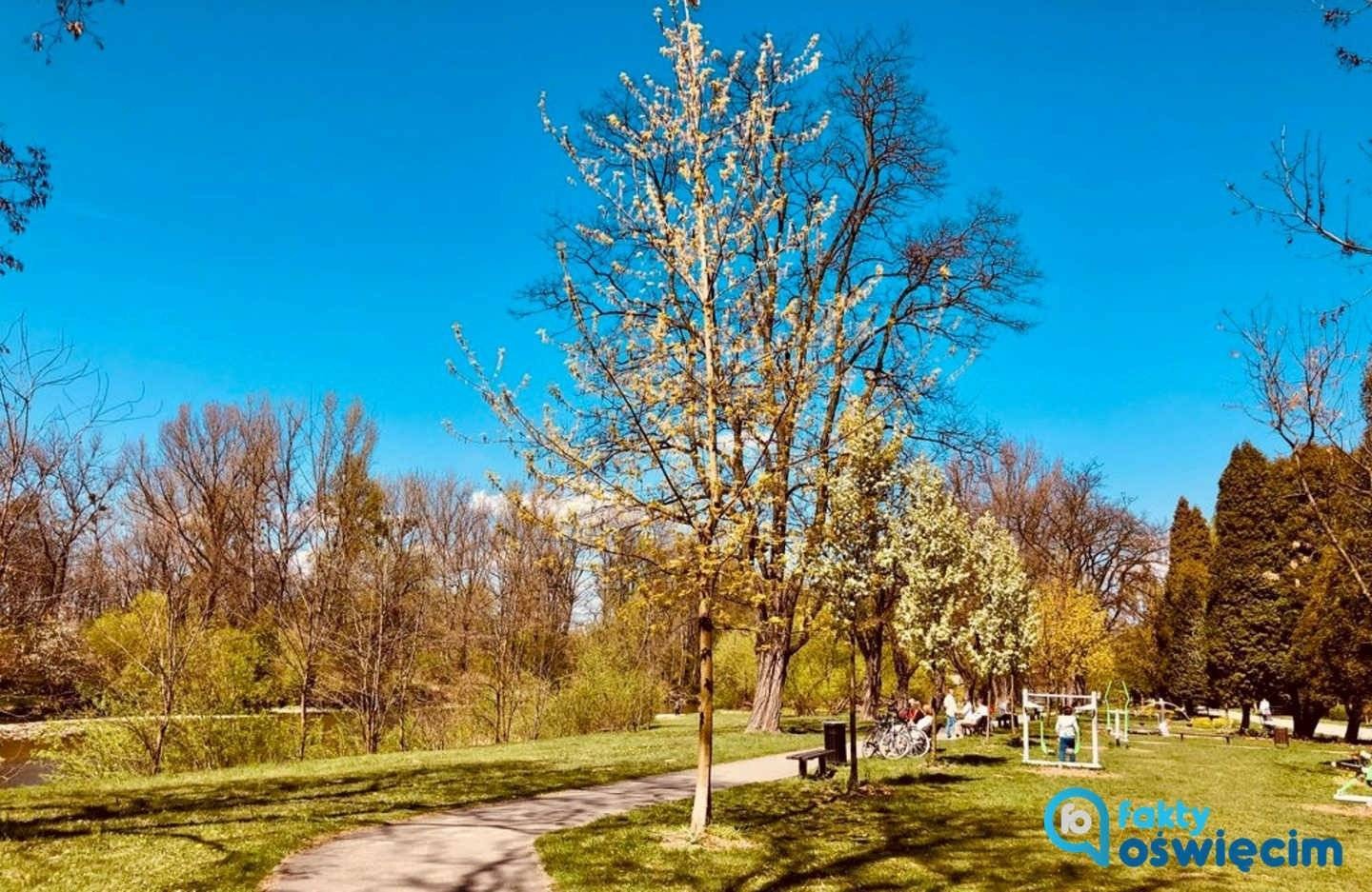 Ostrzeżenia pogodowe: będzie wietrznie i burzowo