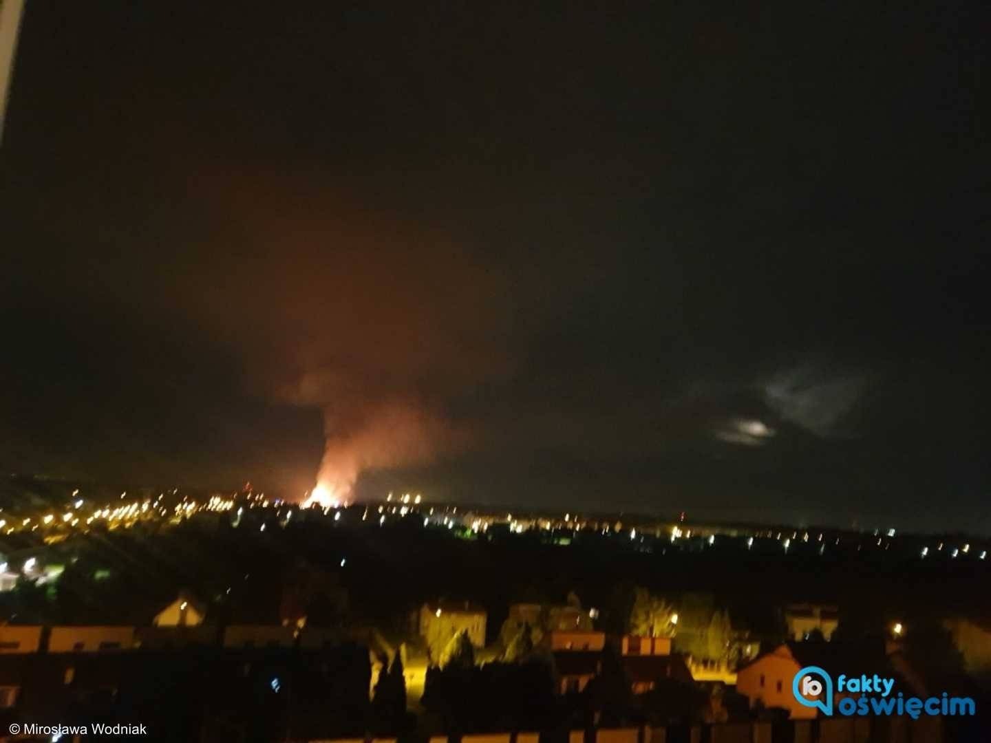 Nocny pożar trzcin na stawie hodowlanym – FOTO