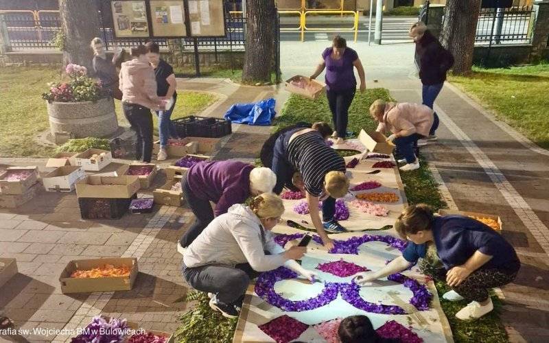 Stworzyli niezwykły kwiatowy dywan – FOTO