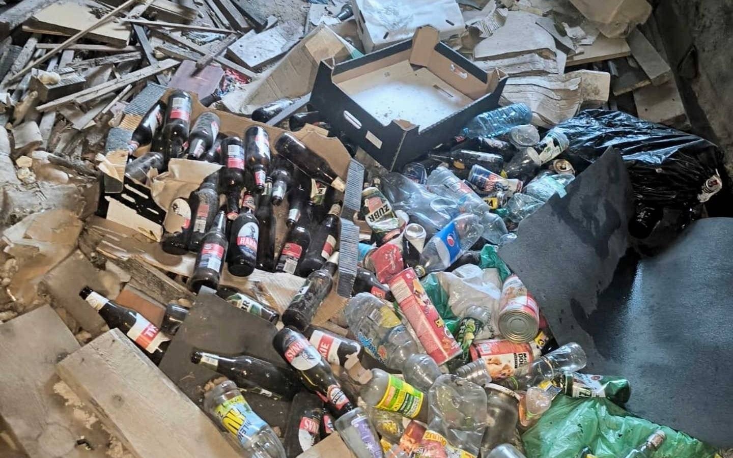 Zaniedbane psy odebrane właścicielom w Osieku – FOTO