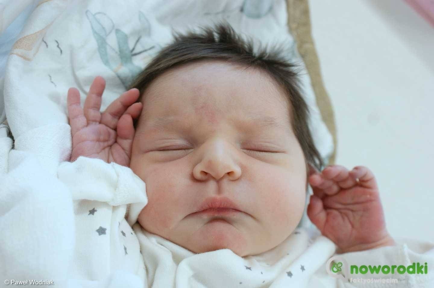 Noworodkowa galeria Faktów Oświęcim – FOTO