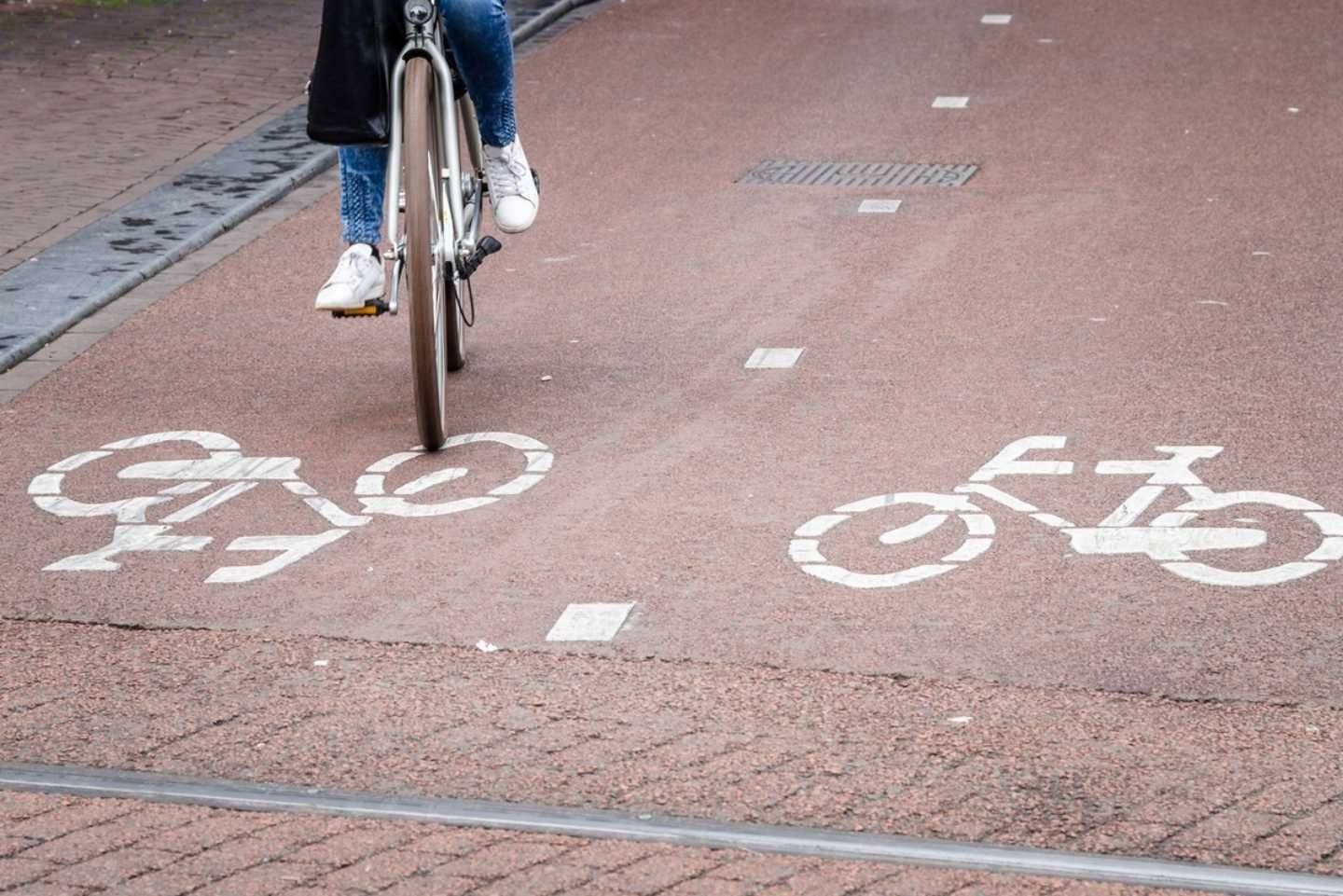 Towarzystwo na rzecz Ziemi o chaosie w oznakowaniu tras rowerowych