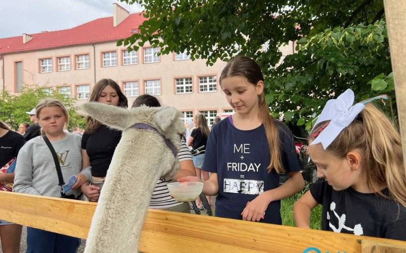 Cyrkowy Piknik z Dwójką i Faktami Oświęcim – FILM, FOTO