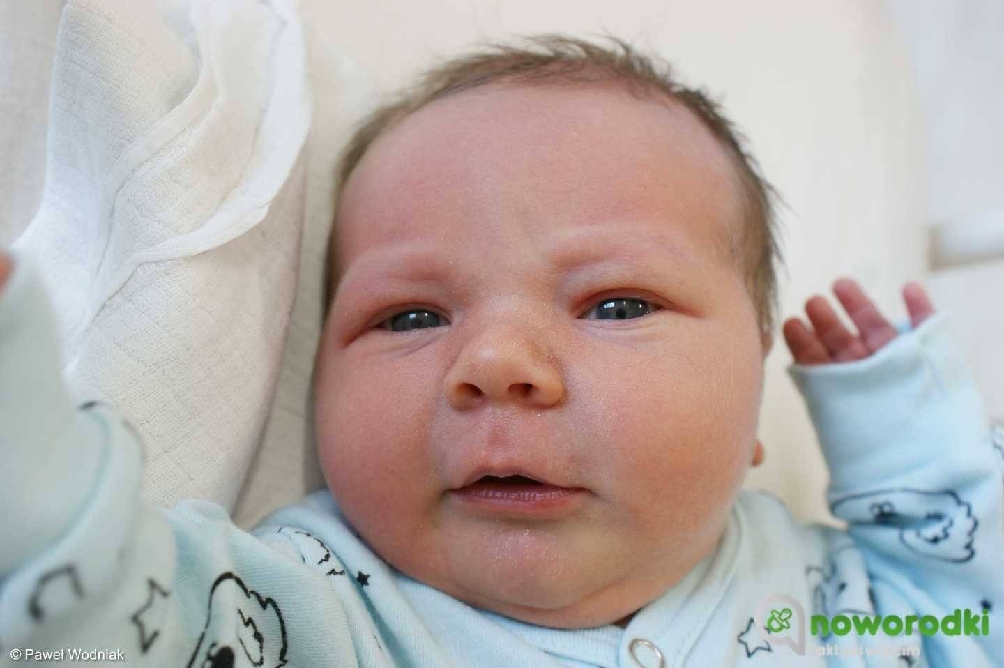 Noworodkowa galeria Faktów Oświęcim – FOTO