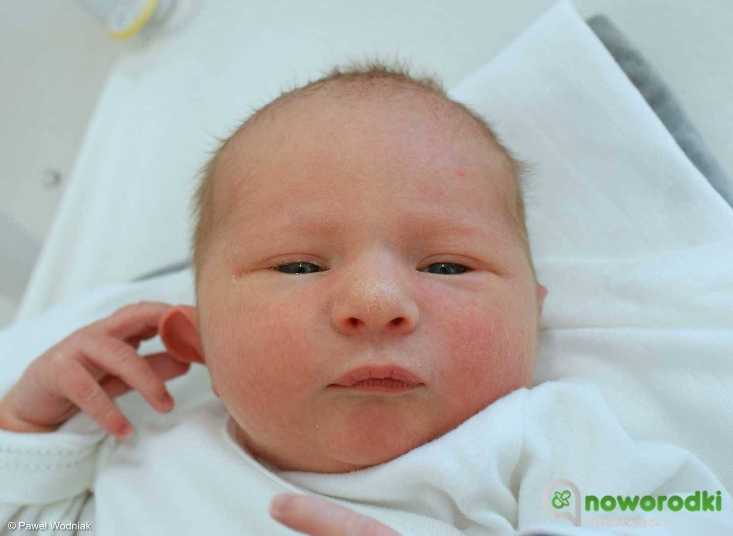 Noworodkowa galeria Faktów Oświęcim – FOTO