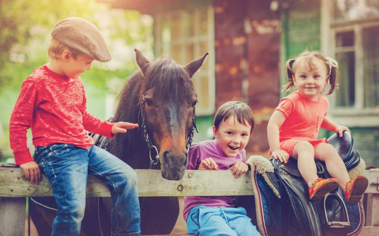 Półkolonia Hobby Horse: Wakacyjna zabawa dla dzieci