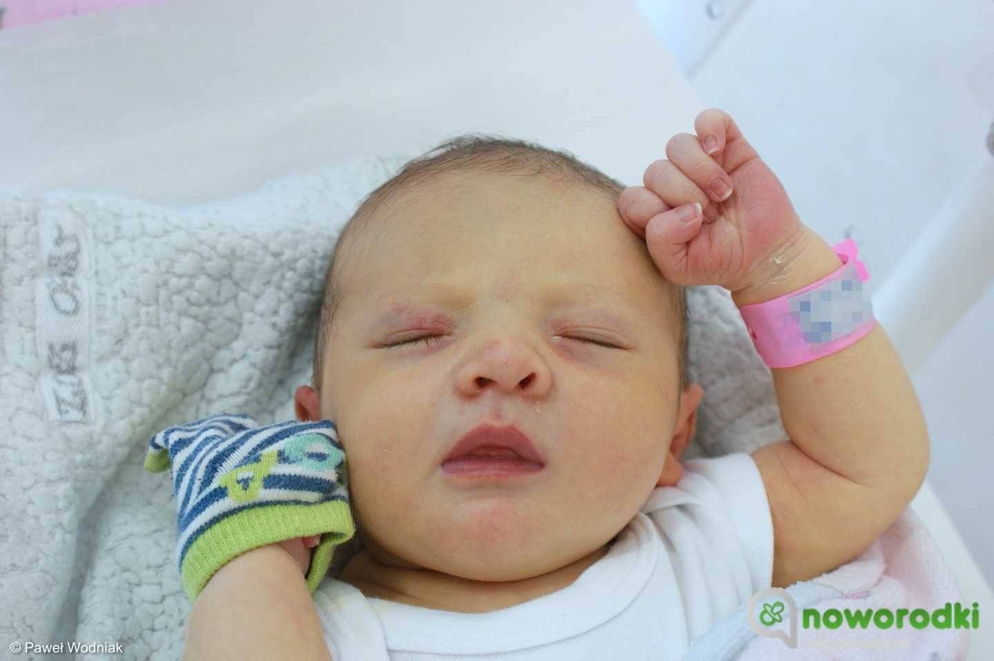 Noworodkowa galeria Faktów Oświęcim – FOTO