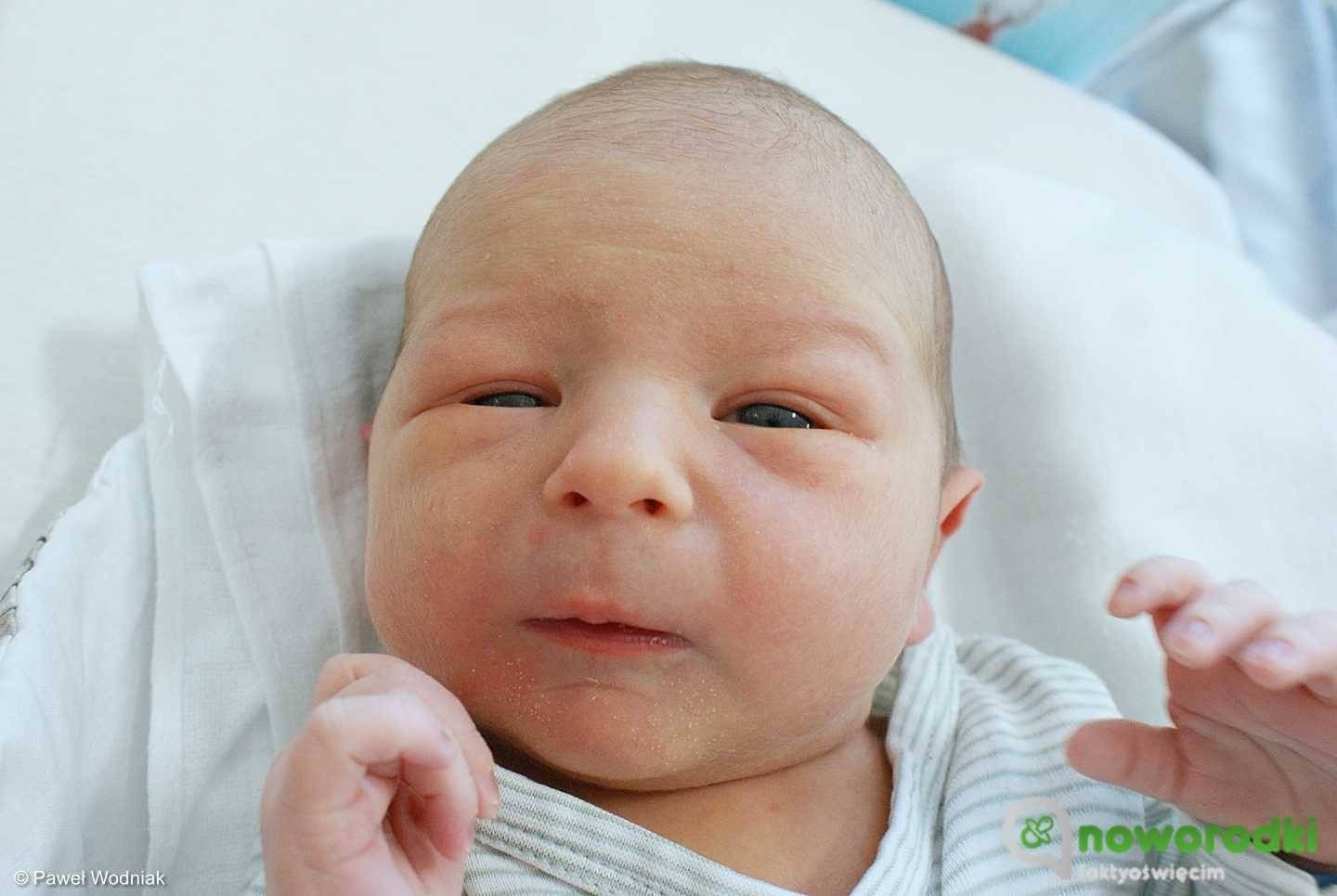 Noworodkowa galeria Faktów Oświęcim – FOTO