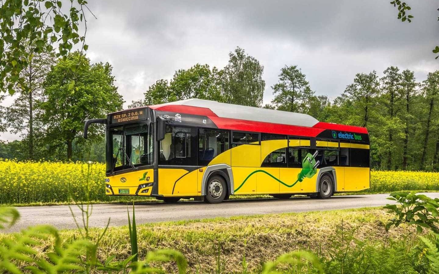 Więcej elektrycznych autobusów w Oświęcimiu