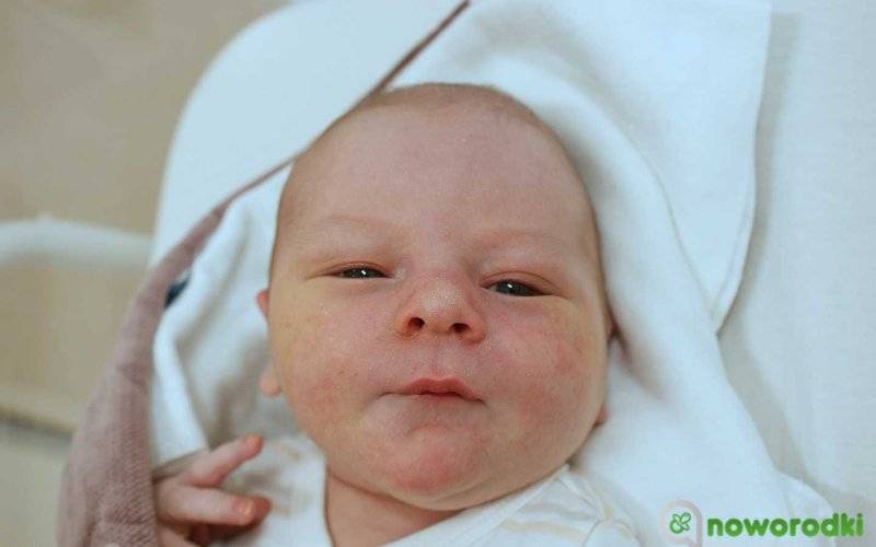 Noworodkowa galeria Faktów Oświęcim – FOTO