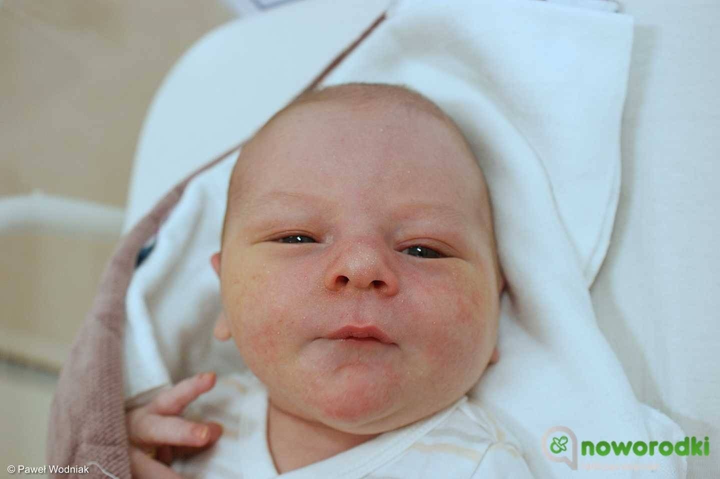 Noworodkowa galeria Faktów Oświęcim – FOTO