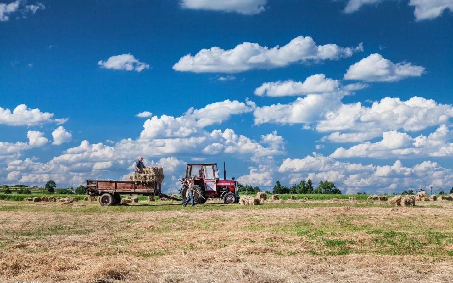 Konkurs „Małopolska Wieś 2024” bez nagród dla powiatu oświęcimskiego