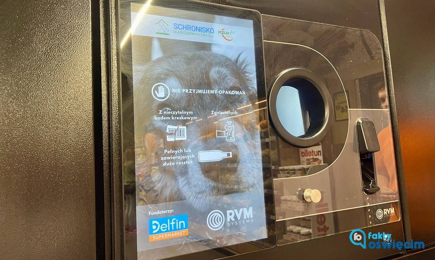 Pomoc bezdomnym zwierzętom: wrzuć butelkę, pomóż schronisku