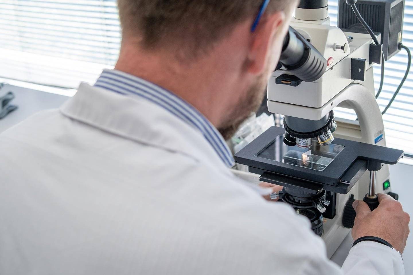 W Zatorze poszukują technologów – FILM