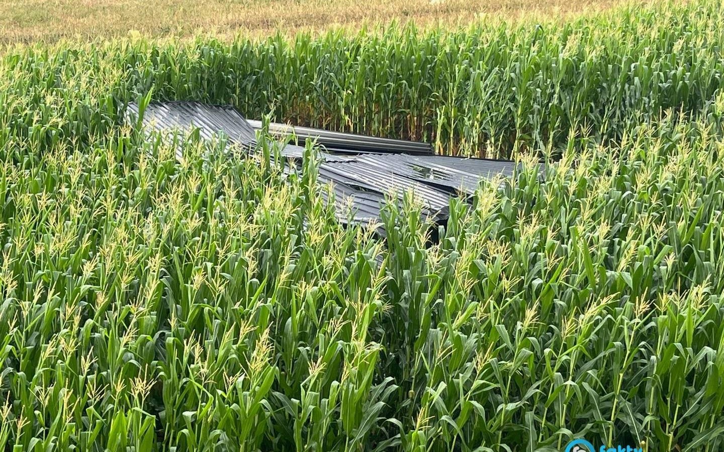 Pomoc nadeszła w niecały kwadrans – FOTO