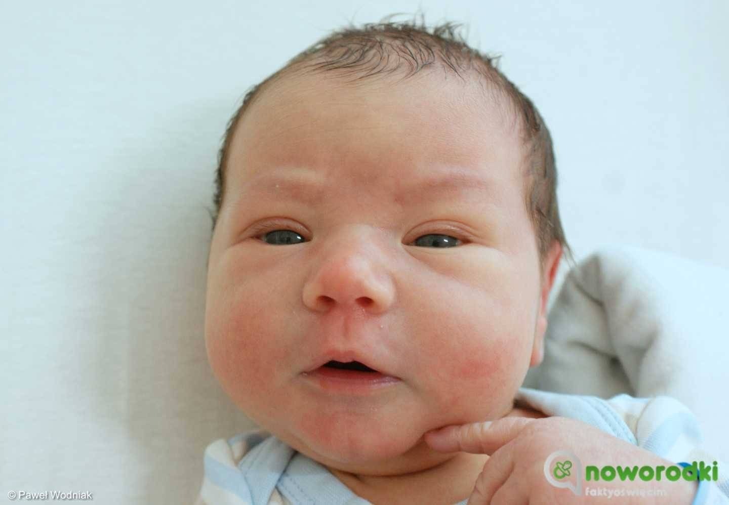 Noworodkowa galeria Faktów Oświęcim – FOTO