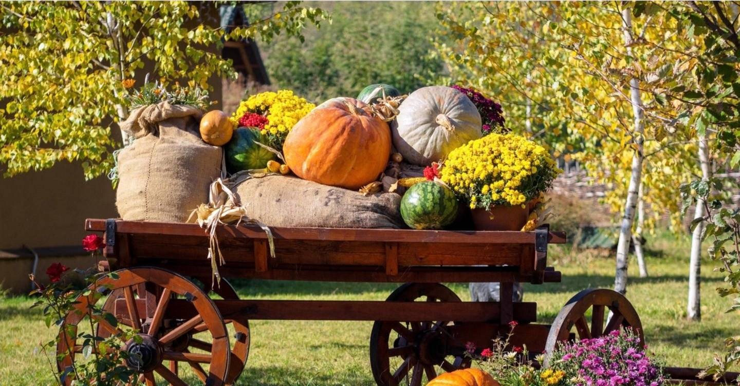 Tradycje polskich dożynek: Święto plonów w gminie Oświęcim