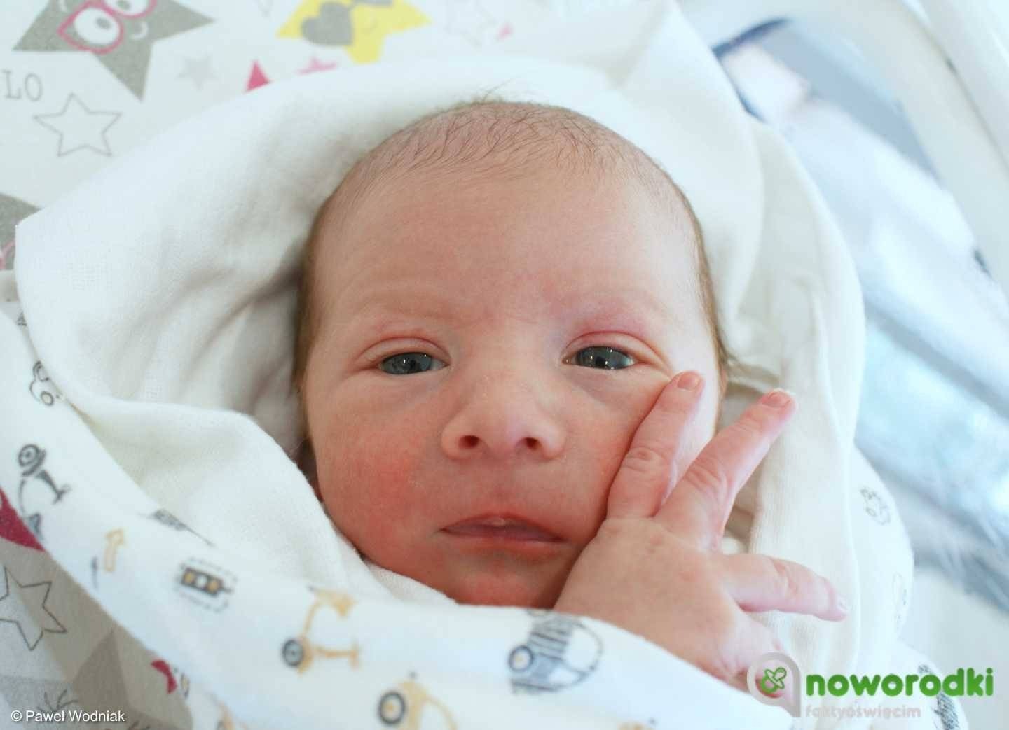 Noworodkowa galeria Faktów Oświęcim – FOTO