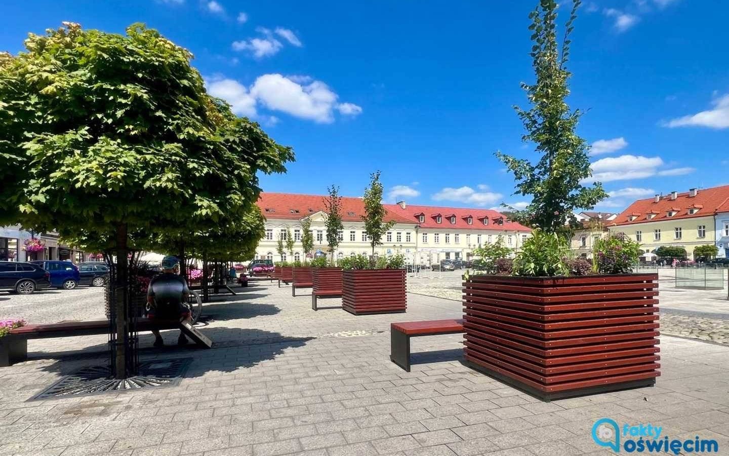 Nieco zieleniej w oświęcimskim Rynku Głównym – FILM