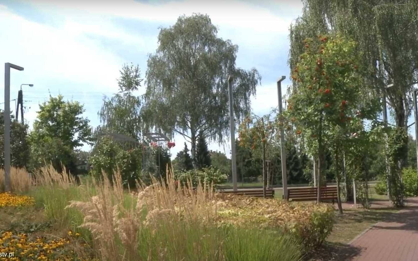 Oświęcimskie Wieści z ratusza – FILM