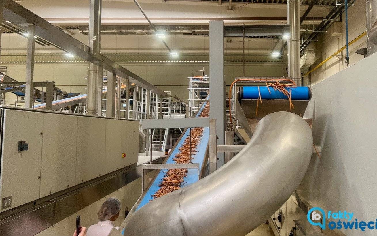 Beskidzkie odrodziły się jak Feniks z popiołów – FILM, FOTO