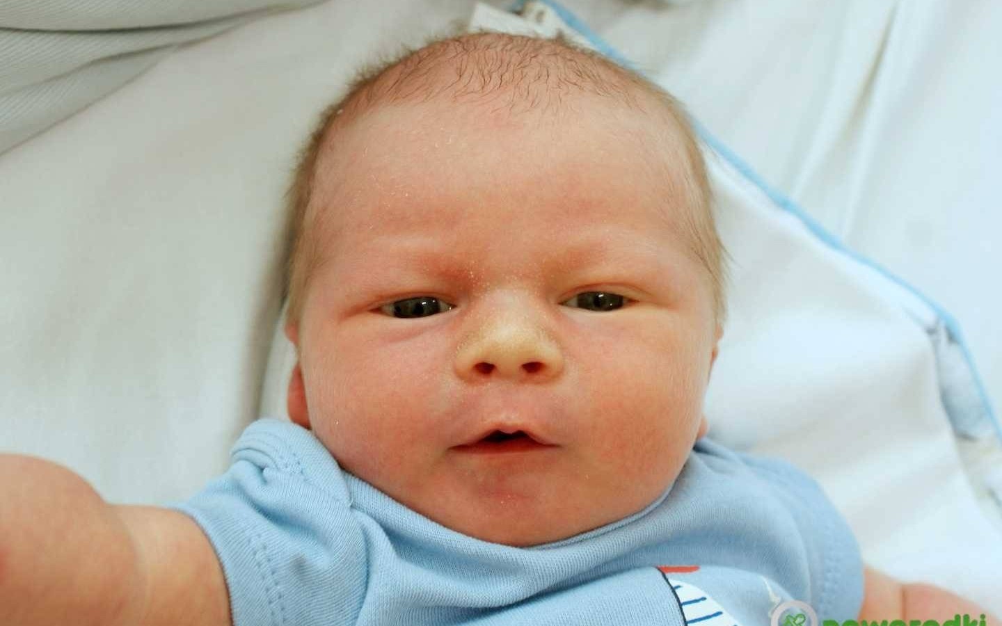 Noworodkowa galeria Faktów Oświęcim – FOTO