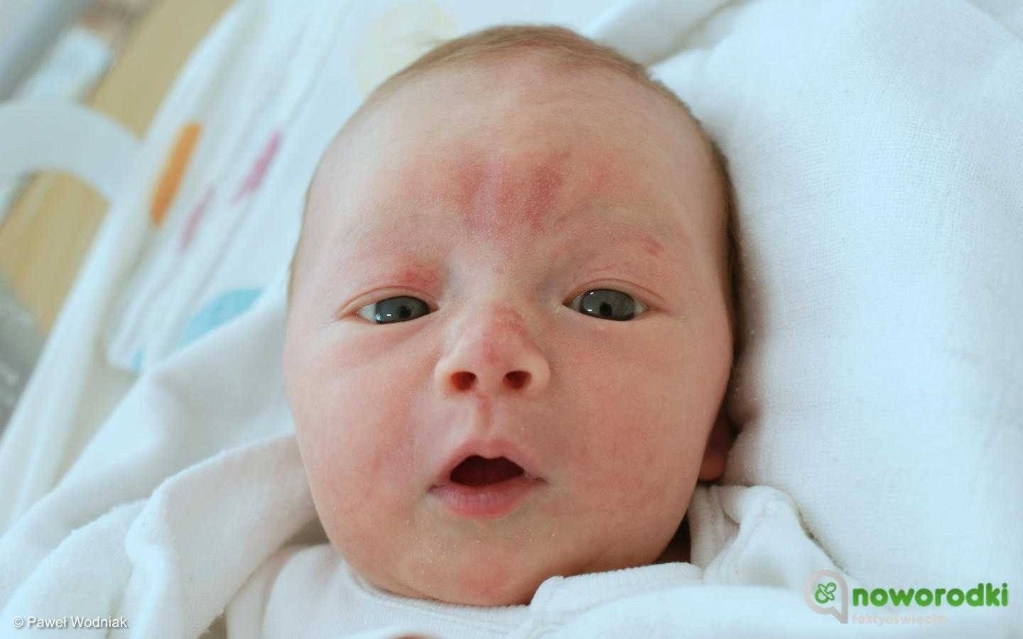 Noworodkowa galeria Faktów Oświęcim – FOTO