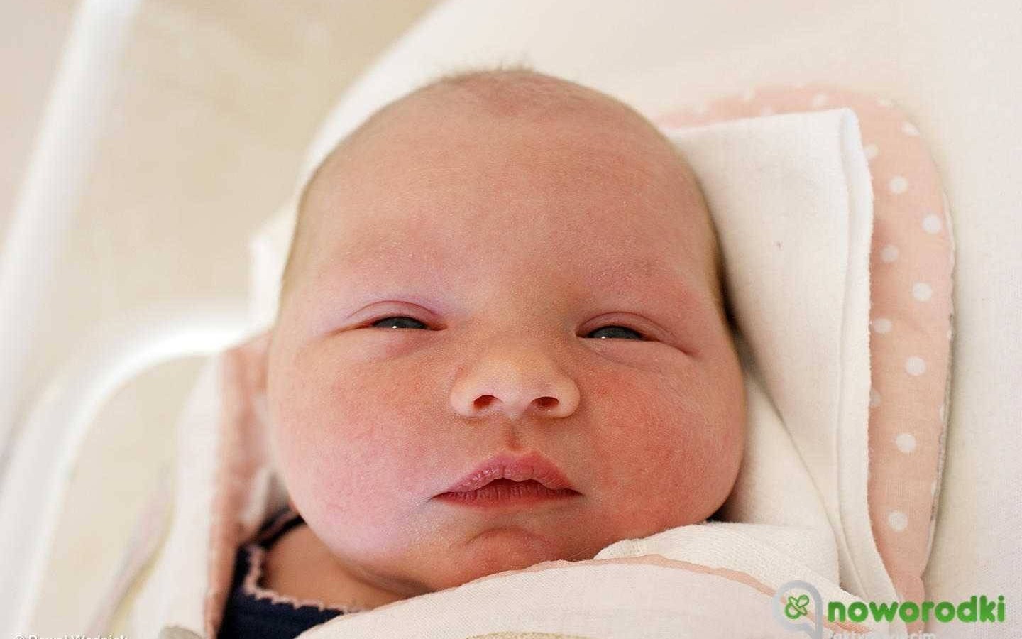 Noworodkowa galeria Faktów Oświęcim – FOTO