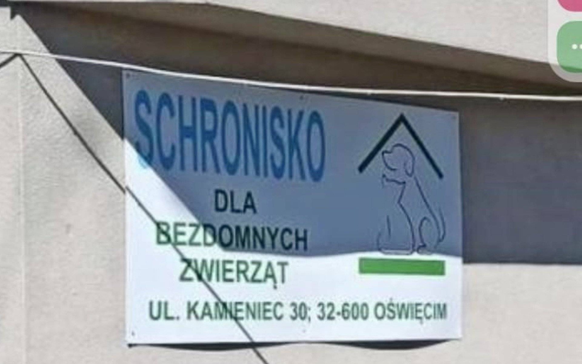 Sytuacja w oświęcimskim schronisku jest stabilna