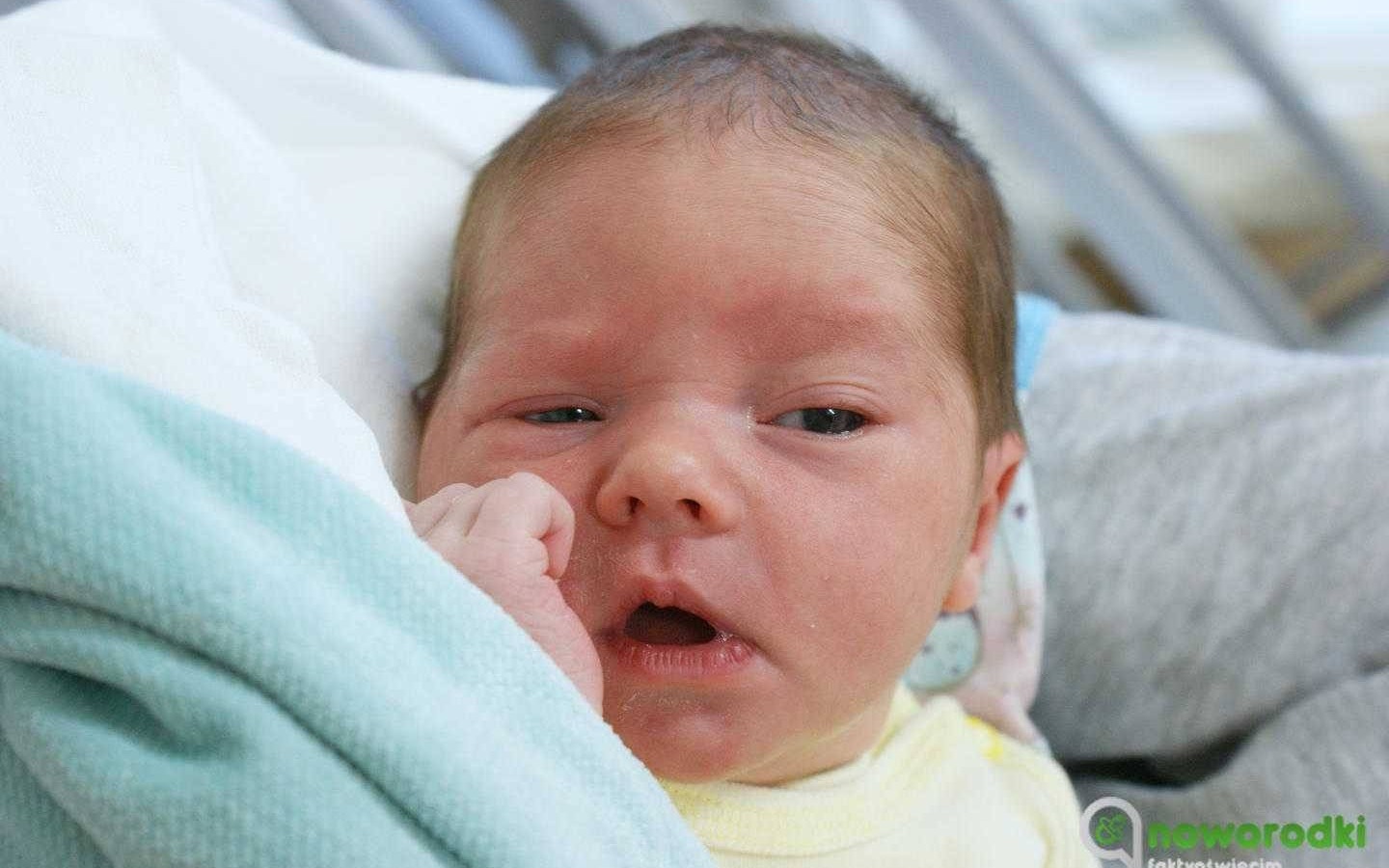 Noworodkowa galeria Faktów Oświęcim – FOTO