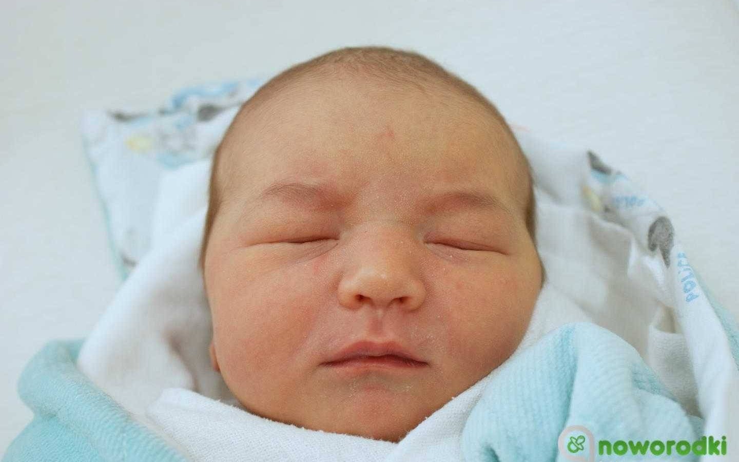 Noworodkowa galeria Faktów Oświęcim – FOTO