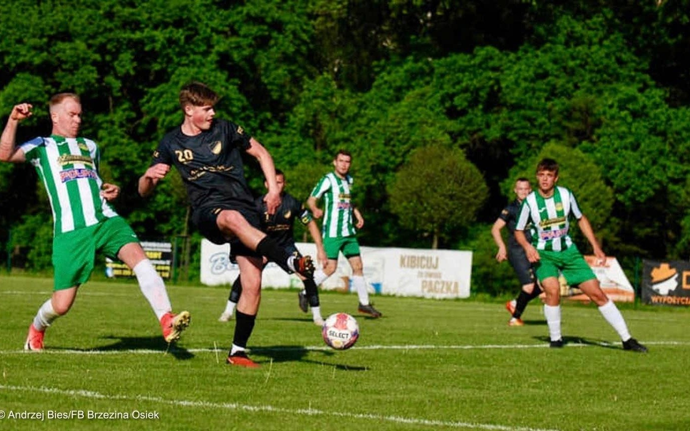 Polowanie na Orła w Rajsku. Brzezina mistrzem jesieni