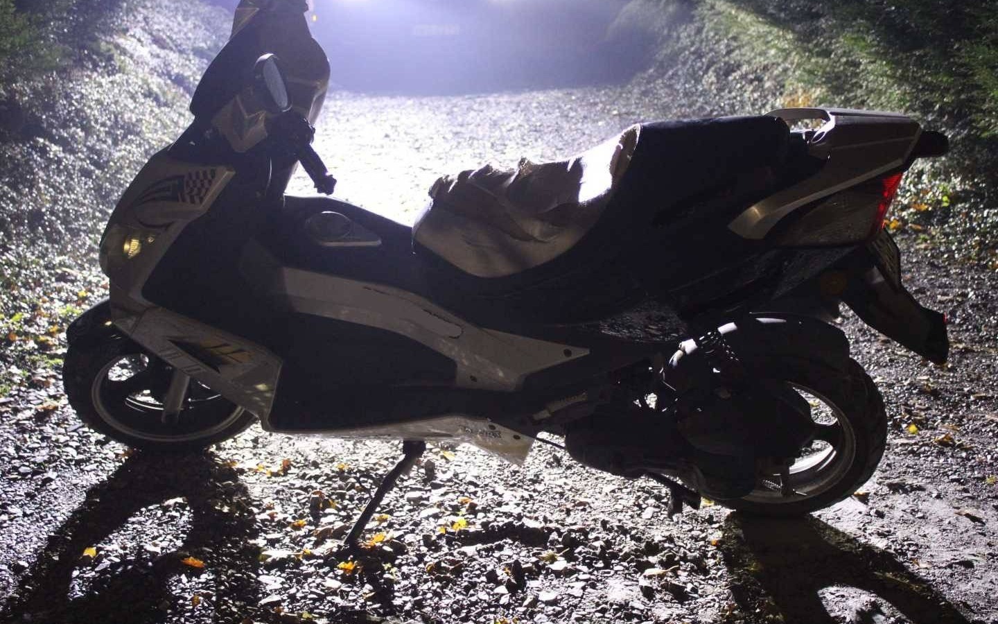 Sarna wybiegła na jezdnię wprost przed jadący skuter