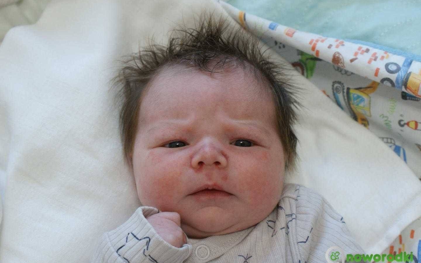 Noworodkowa galeria Faktów Oświęcim – FOTO