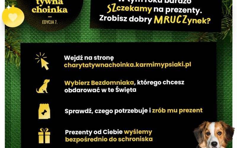 Oświęcimskie schronisko w akcji Charytatywna Choinka od Karmimy Psiaki