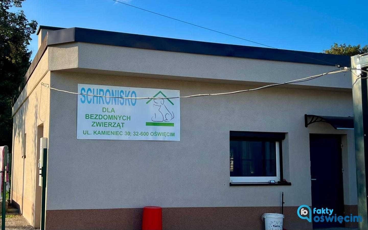 Kibice zbojkotują mecz i pomogą schronisku dla zwierząt