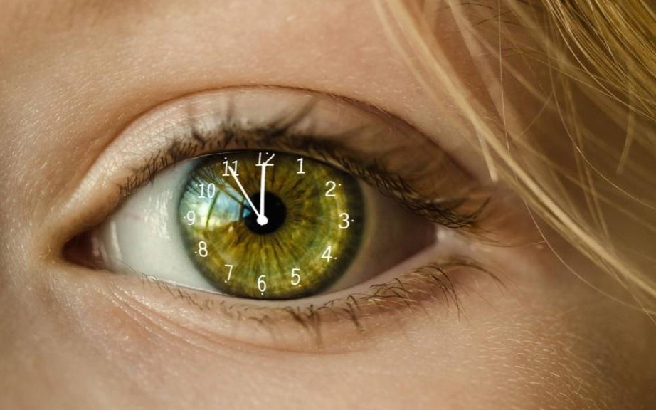 Zaginął przyjazny pies Roki, każdy trop jest ważny