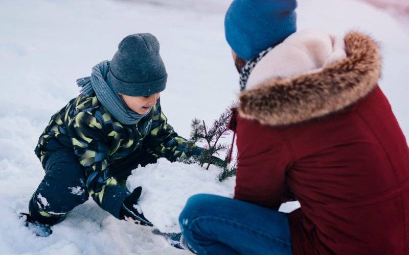 Ferie bez nudy w Brzeszczach – program zajęć i wydarzeń
