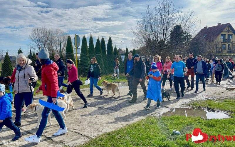 2. Pozytywny Spacer z Morsami i Pupilami już w marcu