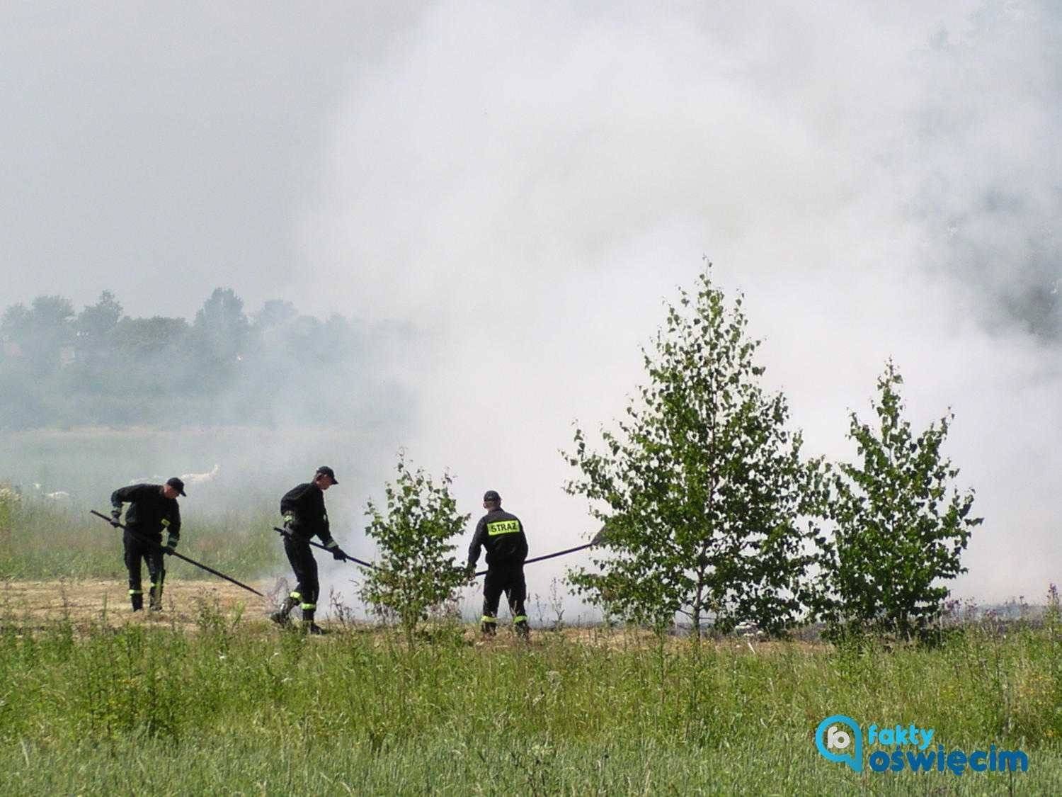 Już teraz przestrzegają przed wypalaniem traw