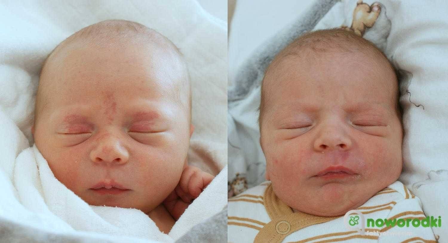 Noworodkowa galeria Faktów Oświęcim – FOTO